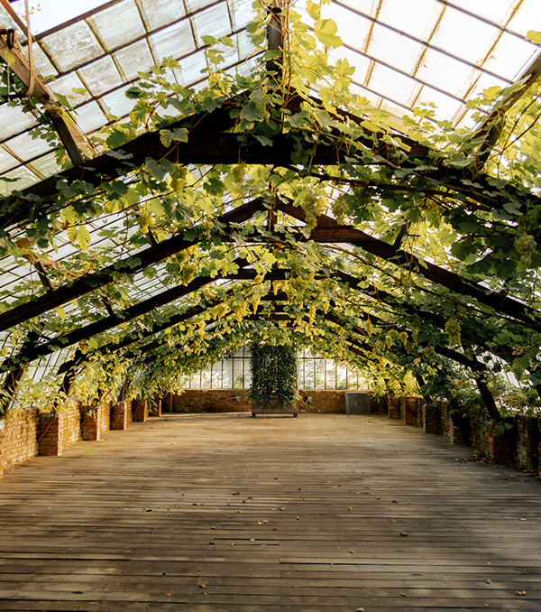 template domain extra photo 600x678px