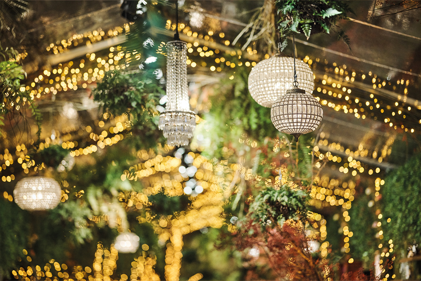 gala dinner image grid image landscape 5 1349x900px