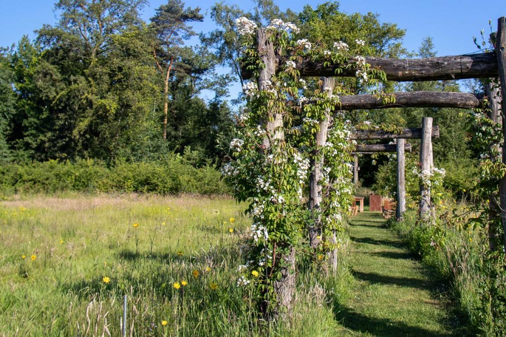 flower meadow domain oogenlust eersel