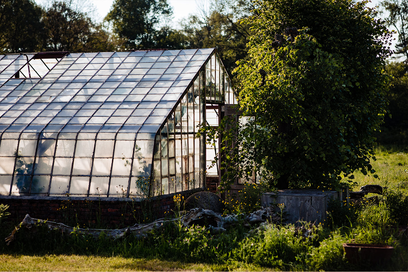 domain oogenlust eersel rental location grapevine greenhouse 2 900x1349px