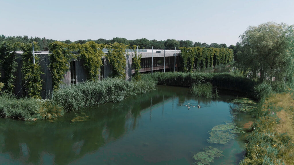 pijler domein banner