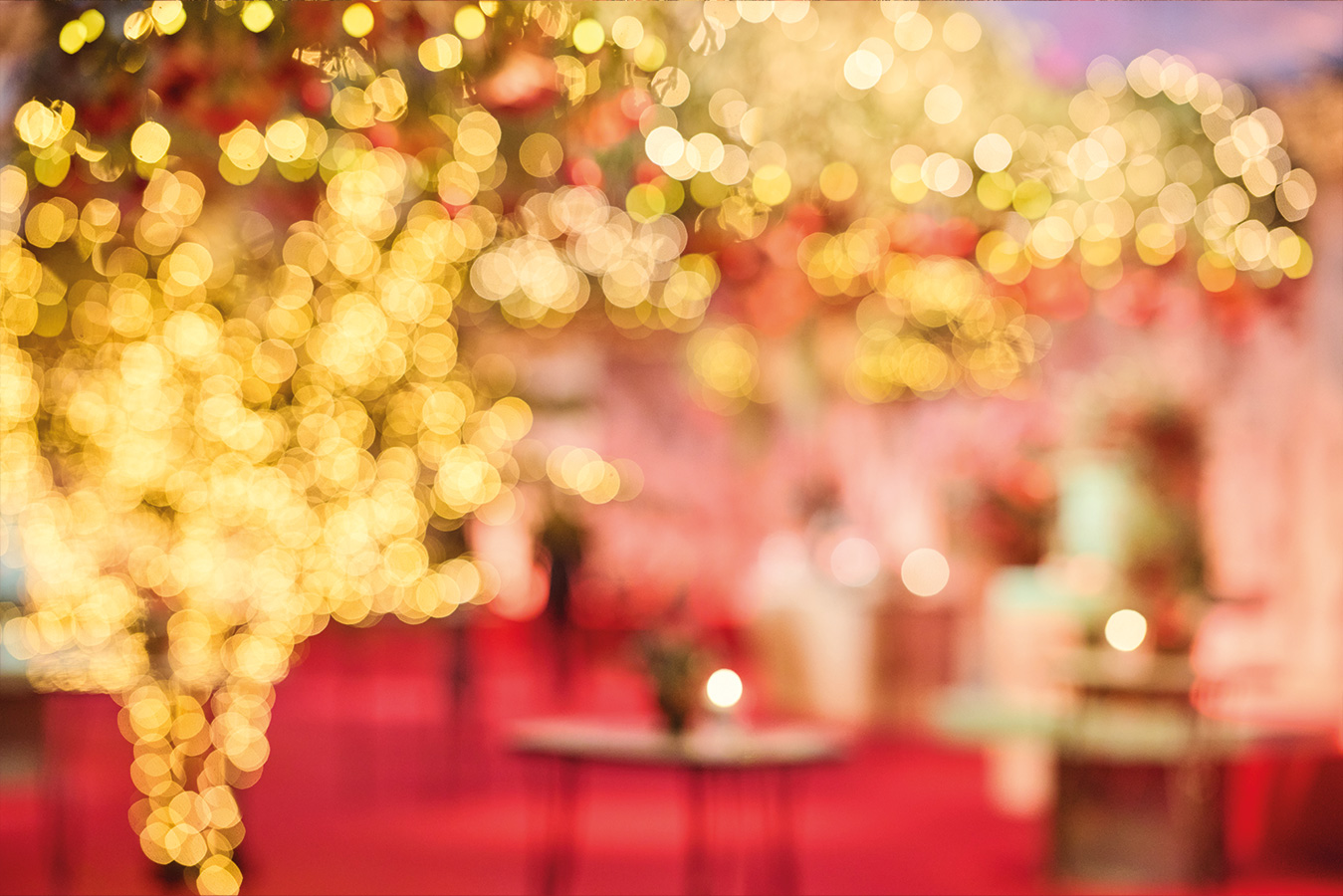 oogenlust event decoration gala dinner 7