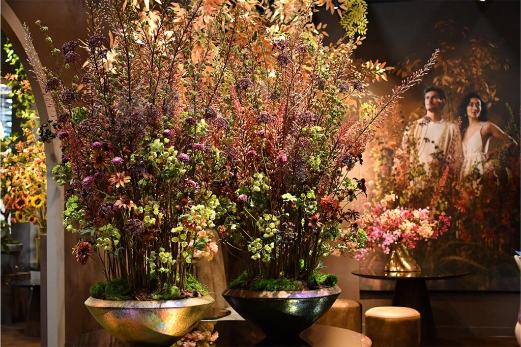 silk ka events afbeeldinggrid overlappendeafbeeldinglinks 900x1351px