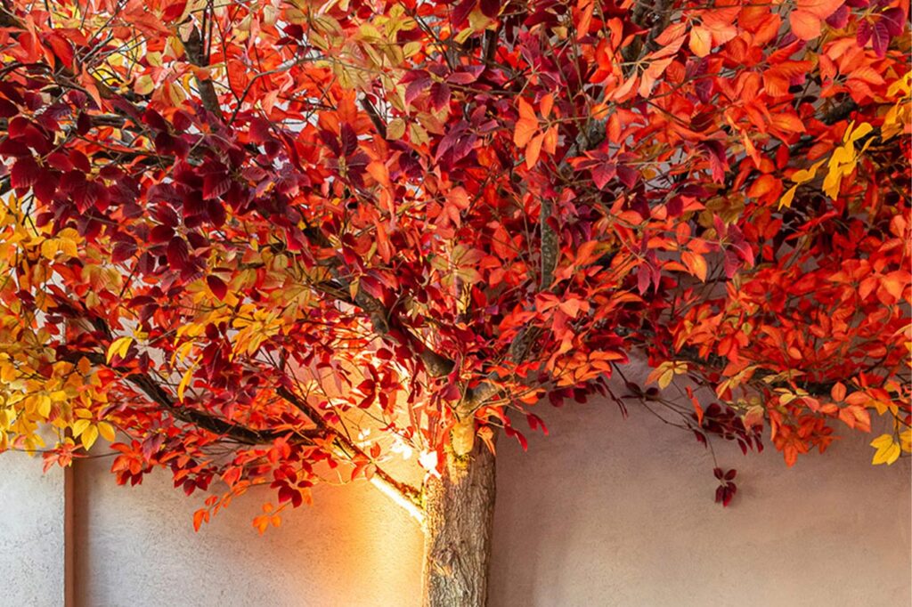 template events afbeeldinggrid overlappendeafbeeldingrechts 900x1351px