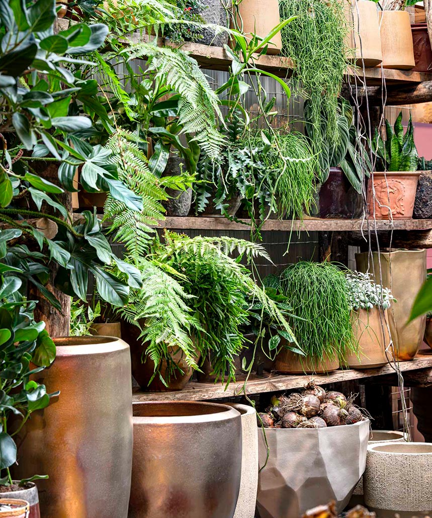 banner uitgelicht 859x1030px winter2026