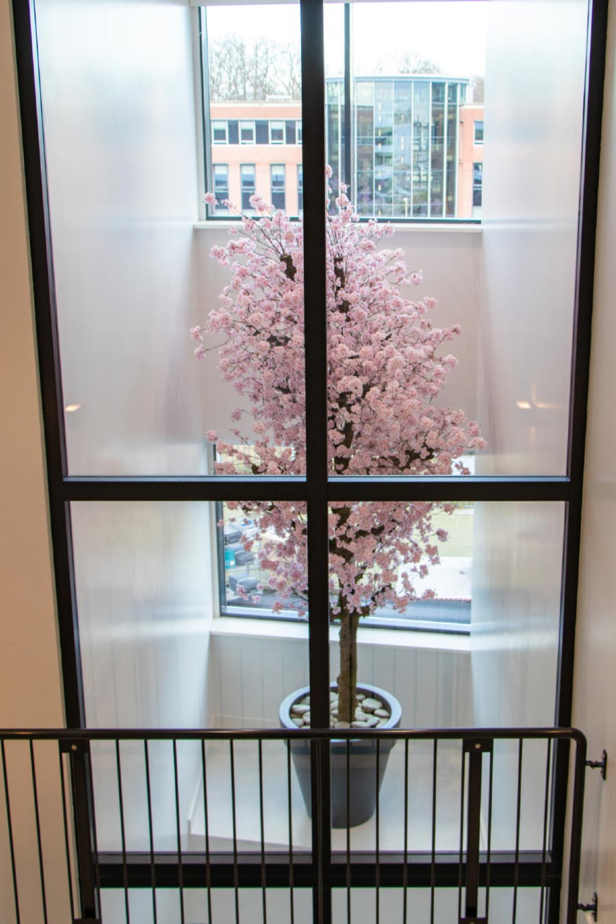 template events image grid image stand 900x1349px