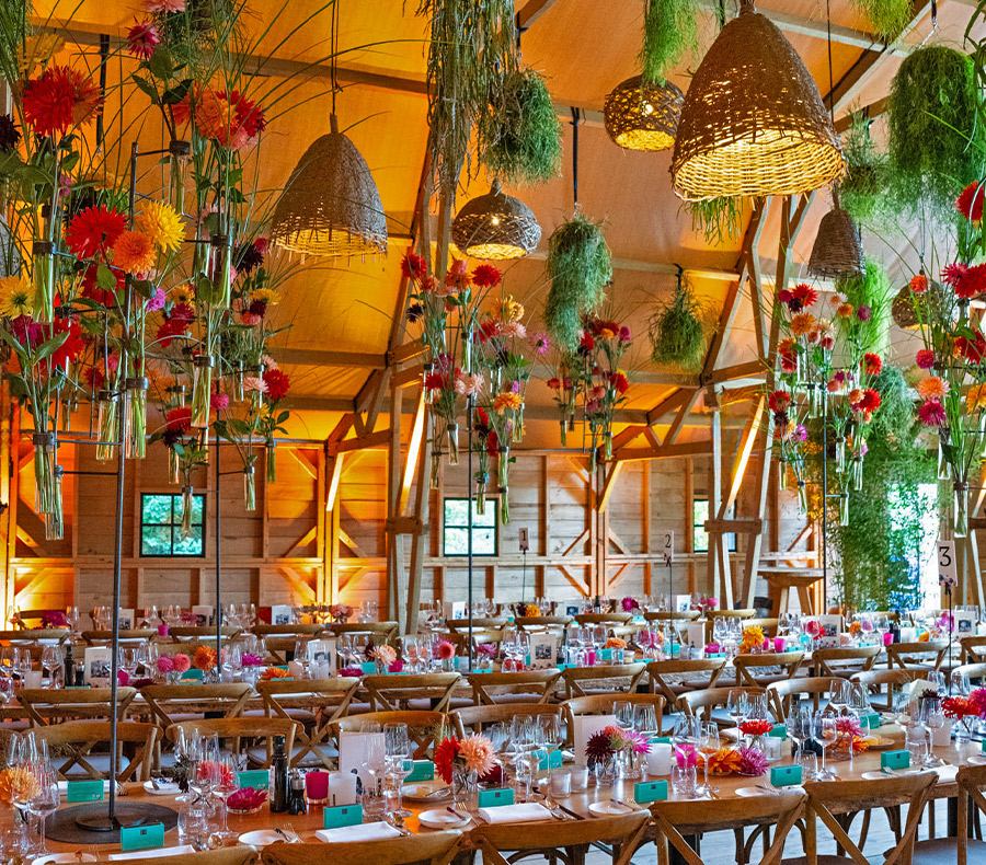 template events content field1 900x790px