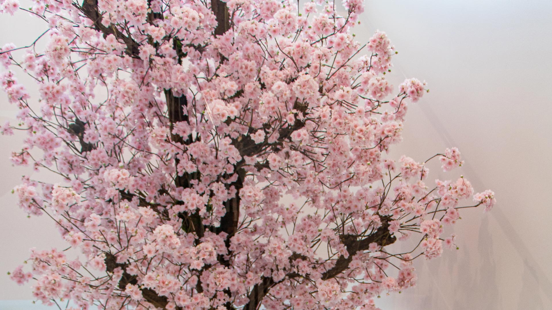 template events header+imageexposed 1920x1080px