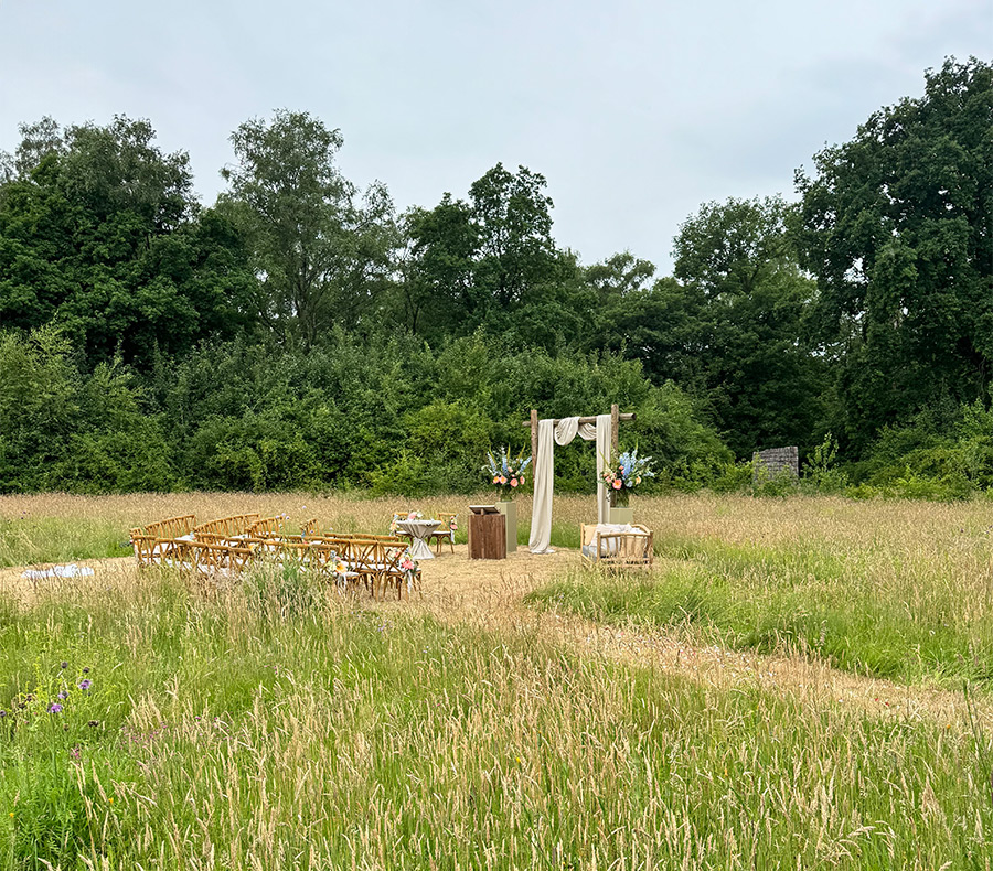 template domain content field1 900x790px