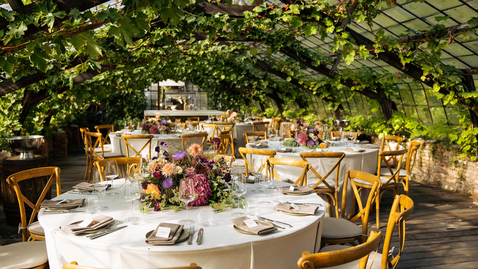 template domein header+afbeeldinguitgelicht 1920x1080px