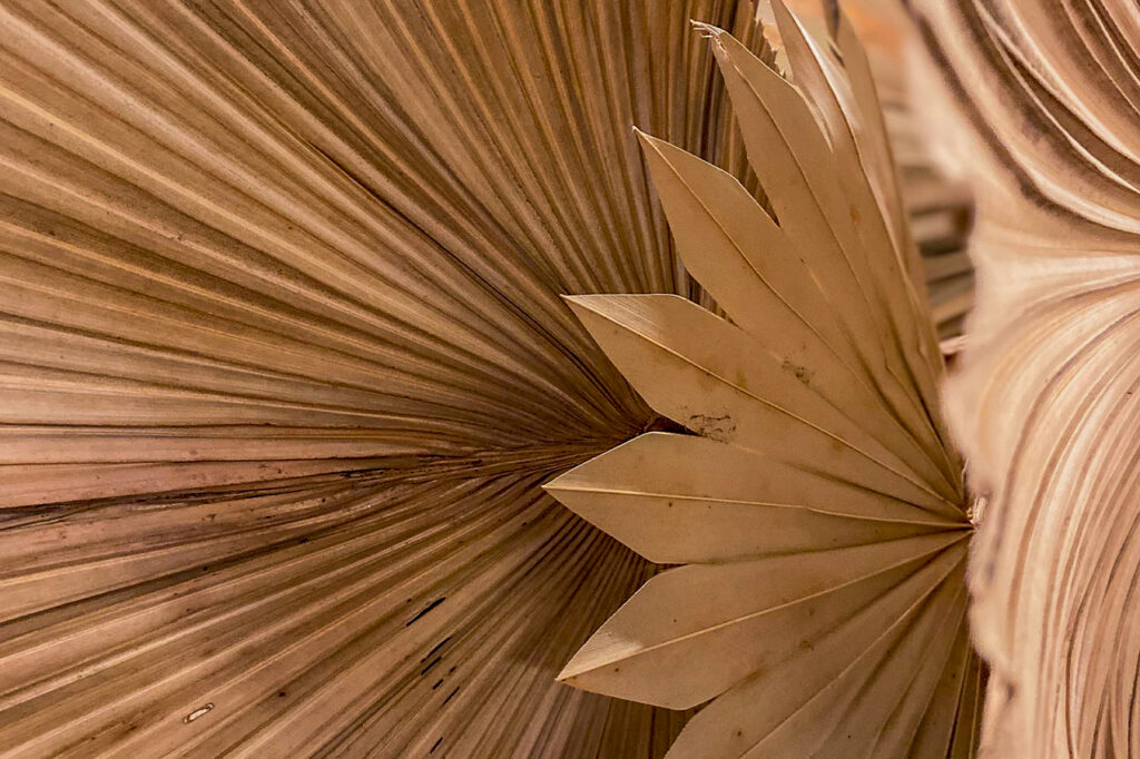 template events afbeeldinggrid overlappendeafbeeldinglinks 900x1351px