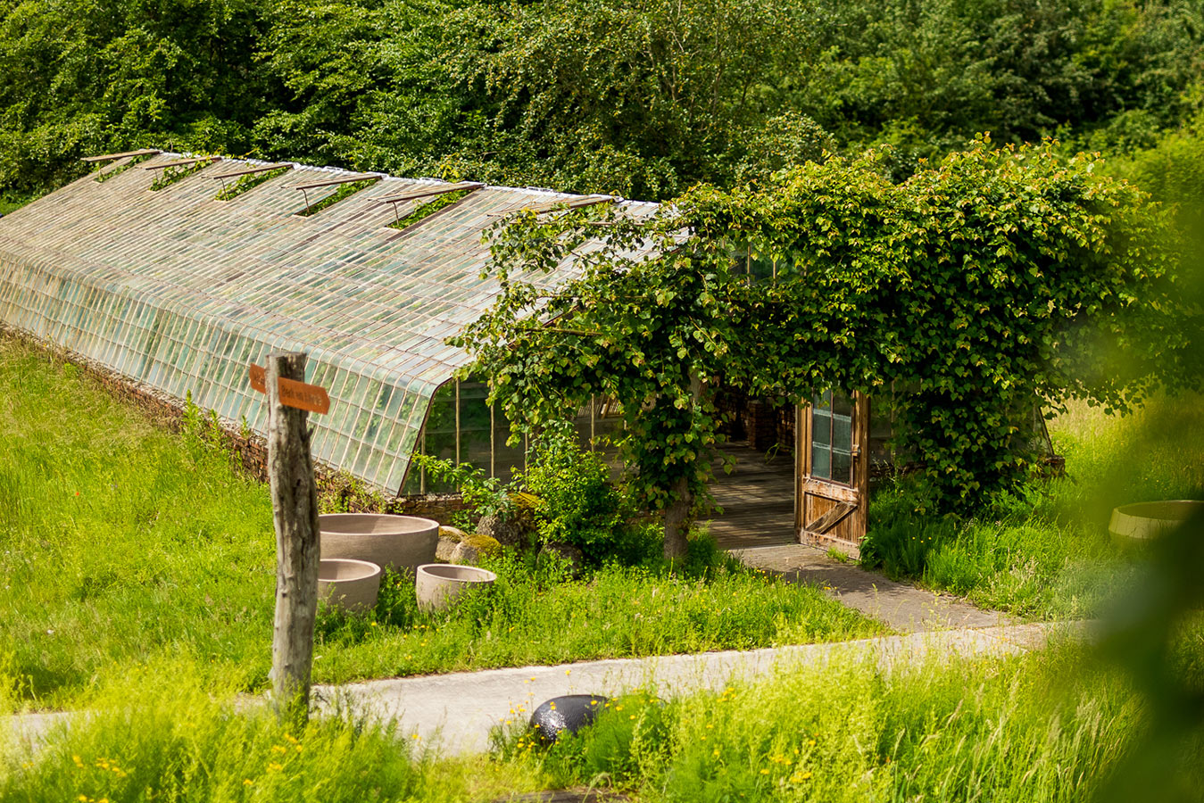 Wedding at the Oogenlust Estate, Eersel, Grape Greenhouse 1